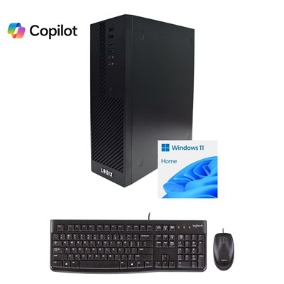 <ul><li>Case Style: Small Form Factor</li><li>Processor: Intel Core i5</li><li>Processor Cores: 10</li><li>Storage: 1TB</li><li>Memory: 16GB</li><li>Graphics: On-Chip</li><li>Operating Software: Windows 11 Home</li></ul>