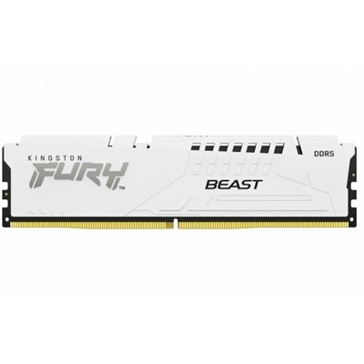 <ul><li>Form Factor: DIMM</li><li>DDR Type: DDR5</li><li>Speed: 6000Mhz</li><li>Capacity: 16GB (1x 16GB)</li><li>RGB: No</li></ul>